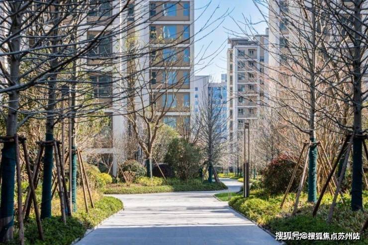 25欢迎您丨最新楼盘详情丨2025欢迎您-楼盘评测-户型配套k8凯发网站金桥碧云澧悦(售楼处)金桥碧云澧悦首页网站丨20(图2)